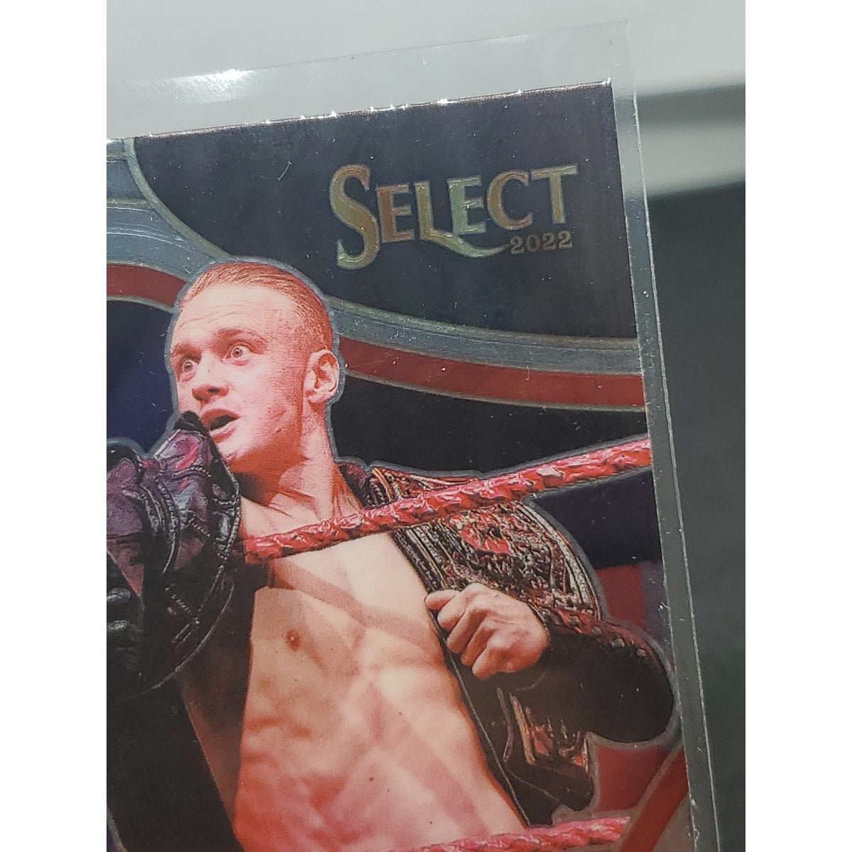 Ilja Dragunov 2022 Panini Select WWE Ringside Wrestling Card # 288