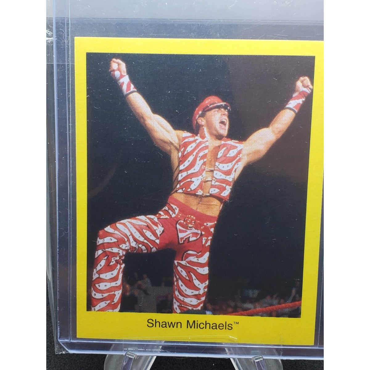 1997 Cardinal World Wrestling Federation Trivia Game - Shawn Michaels