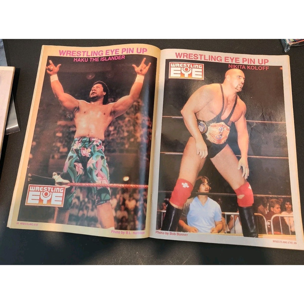 Wrestling Eye November 1987 Four Horsemen Ric Flair Junk Yard Dog WWF