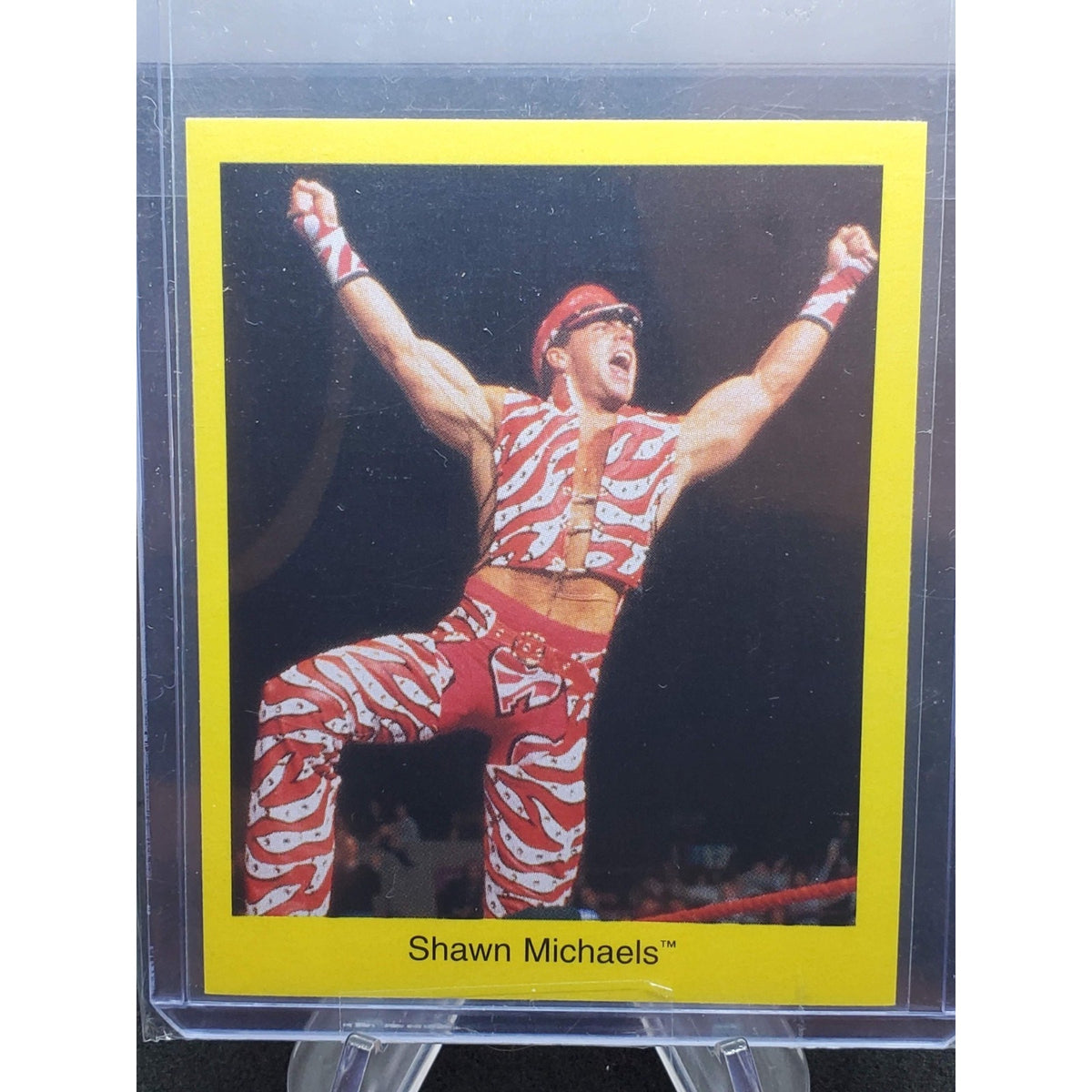 1997 Cardinal World Wrestling Federation Trivia Game - Shawn Michaels