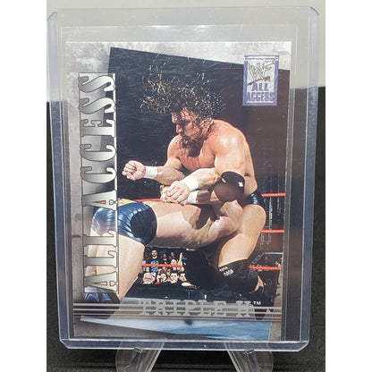 2002 Fleer WWF All Access - #11 Triple H