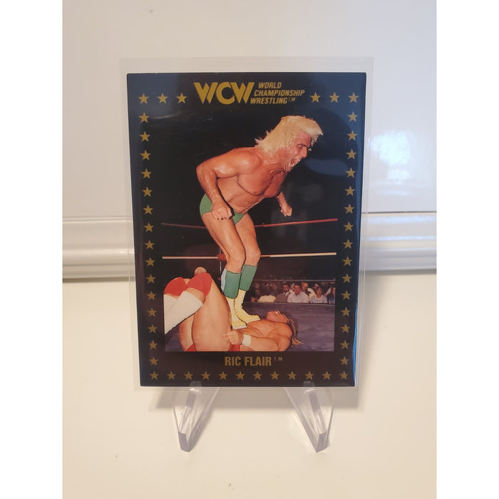 1991 Championship Marketing WCW #12 Ric Flair