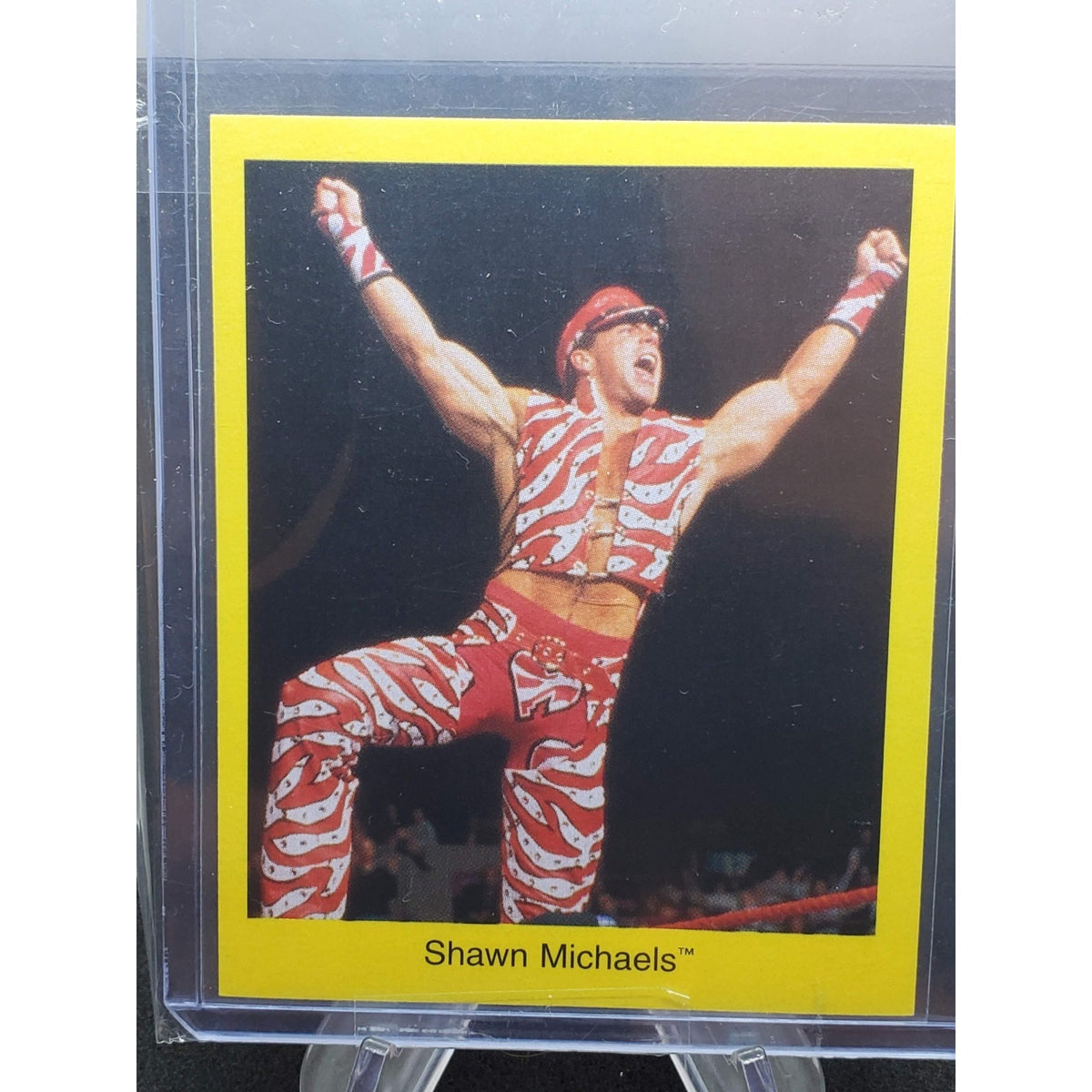 1997 Cardinal World Wrestling Federation Trivia Game - Shawn Michaels