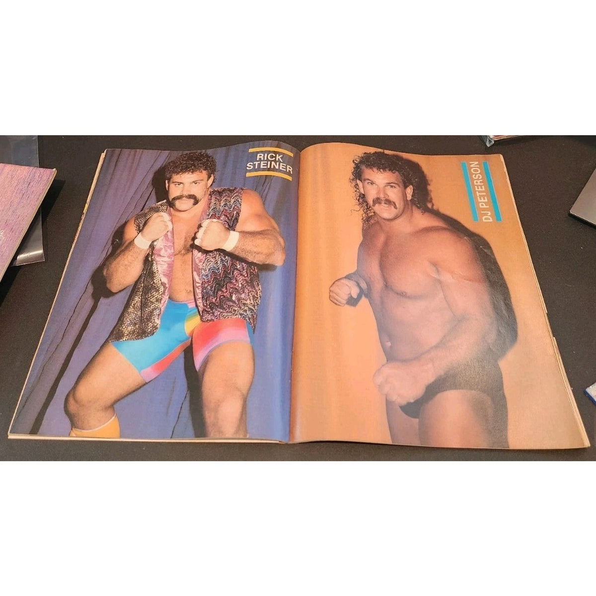 Vintage Wrestling Magazine Wrestling Scene Sting December 1987 No 44 Poster