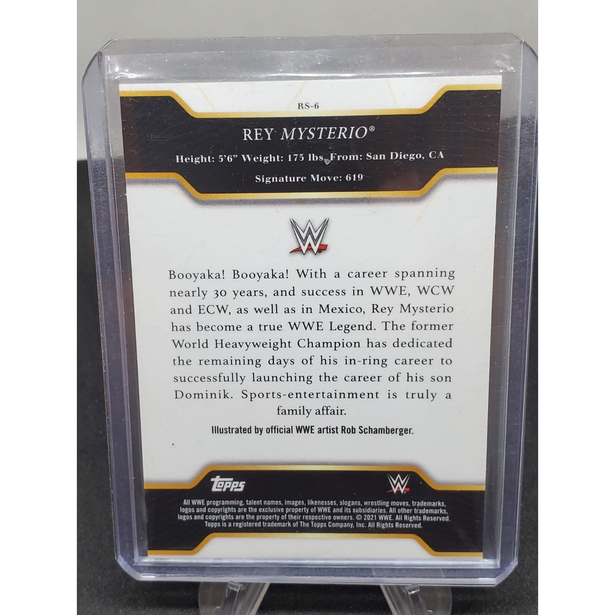 2021 Topps WWE Undisputed Rob Schamberger Illustrations Rey Mysterio #RS-6